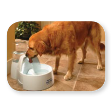 ΚΡΗΝΗ PET SAFE FOUNT. DRINKWELL GR 8.5L ΚΡΗΝΗ PET SAFE FOUNT. DRINKWELL GR 8.5L