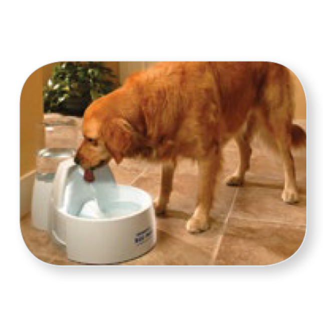 ΚΡΗΝΗ PET SAFE FOUNT. DRINKWELL GR 8.5L ΚΡΗΝΗ PET SAFE FOUNT. DRINKWELL GR 8.5L