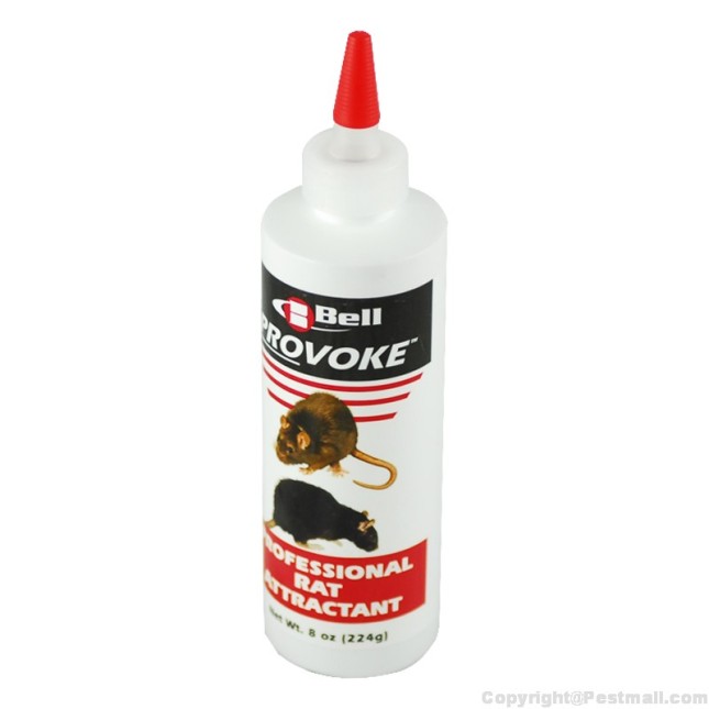 Provoke Rat Provoke Rat