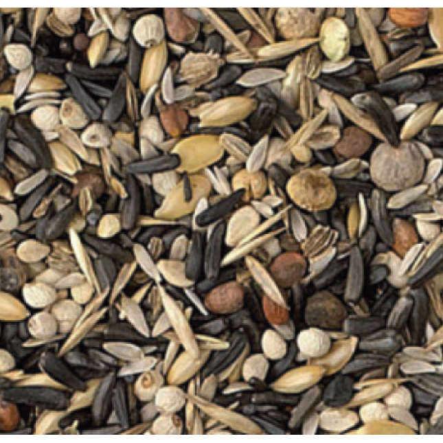 King Siskins American 1kg χύμα King Siskins American 1kg χύμα