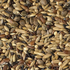 King Forest Birds με ρούπσεν 1kg χύμα King Forest Birds με ρούπσεν 1kg χύμα