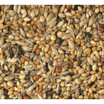 King exotic birds breeding 1kg χύμα