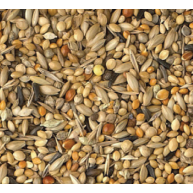 King exotic birds breeding 1kg χύμα King exotic birds breeding 1kg χύμα