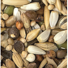 King budgie germination seeds 20kg King budgie germination seeds 20kg