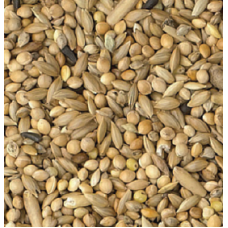King budgie birds breeding mix 1kg χύμα King budgie birds breeding mix 1kg χύμα