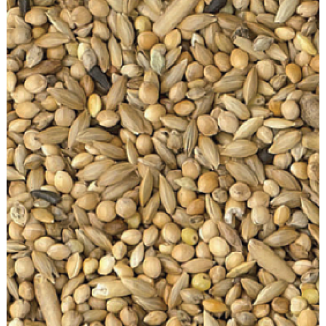 King budgie birds breeding mix 1kg χύμα King budgie birds breeding mix 1kg χύμα