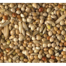 King budgie birds mix 1kg χύμα King budgie birds mix 1kg χύμα