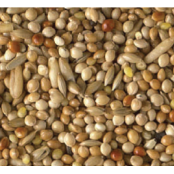 King budgie birds mix 1kg χύμα