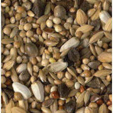 King parakeets breeding χωρίς ηλιόσπορο 20kg King parakeets breeding χωρίς ηλιόσπορο 20kg