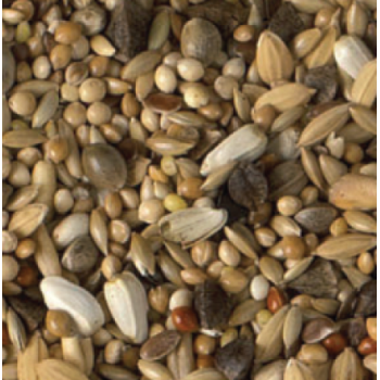 King parakeets breeding χωρίς ηλιόσπορο 20kg King parakeets breeding χωρίς ηλιόσπορο 20kg