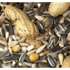 King parrot basic 1kg χύμα King parrot basic 1kg χύμα