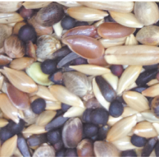 king canary mix actual 1kg χύμα king canary mix actual 1kg χύμα