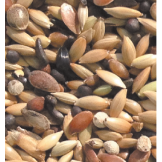 ΝΑΤURline κελαϊδίνη εμφάνισης 1kg χύμα ΝΑΤURline κελαϊδίνη εμφάνισης 1kg χύμα