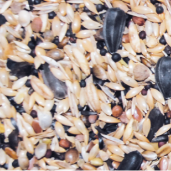 NATURline κελαϊδίνη multi για ιθαγενή πτηνά 25kg NATURline κελαϊδίνη multi για ιθαγενή πτηνά 25kg