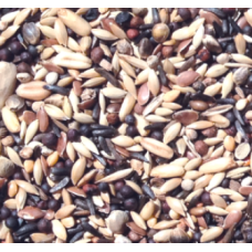 NATURline χρυσός σπίνος κελαϊδίνη 1kg χύμα