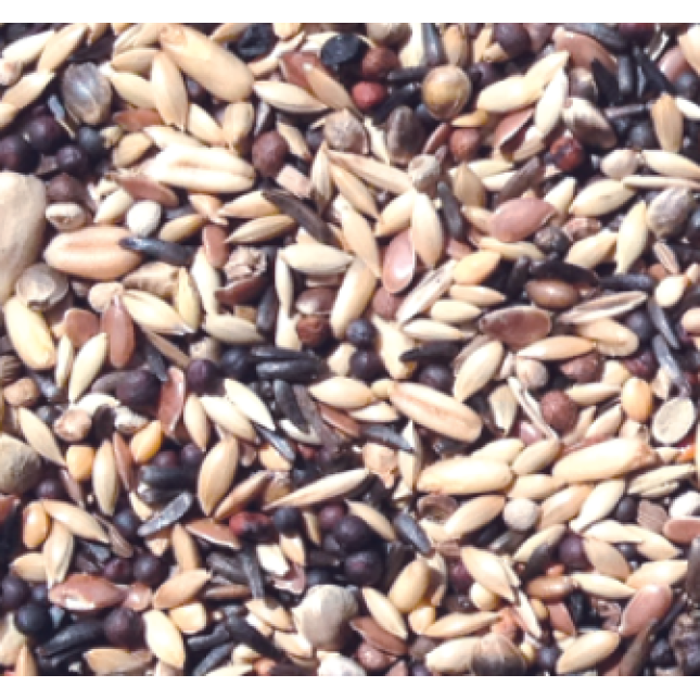 NATURline χρυσός σπίνος κελαϊδίνη 1kg χύμα NATURline χρυσός σπίνος κελαϊδίνη 1kg χύμα