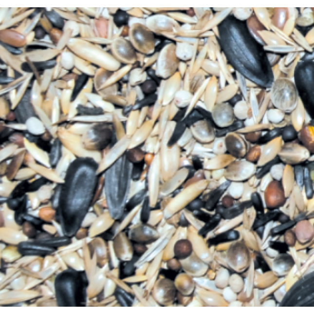 NATURline κελαϊδίνη καρδερίνας 1kg χύμα NATURline κελαϊδίνη καρδερίνας 1kg χύμα