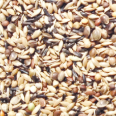 NATURline κελαϊδίνη για αγριόπουλα ΚΛ-510 1kg χύμα