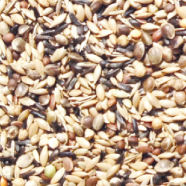 NATURline κελαϊδίνη για αγριόπουλα ΚΛ-510 1kg χύμα NATURline κελαϊδίνη για αγριόπουλα ΚΛ-510 1kg χύμα