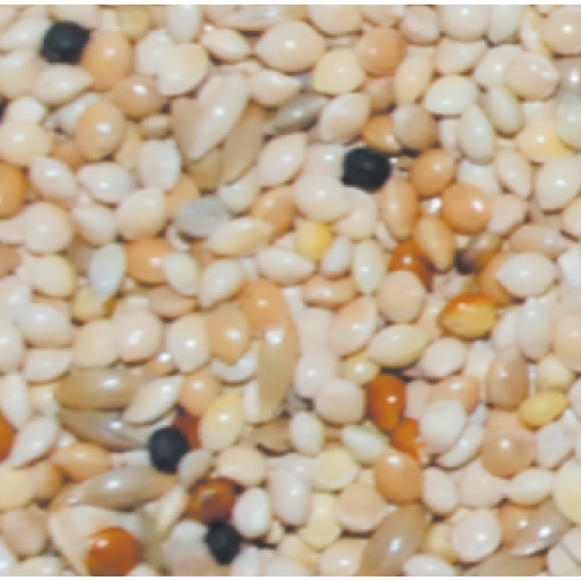 NATURline παπαγαλίνη μείγμα ΚΛ-440 χωρίς μπισκότο 1kg χύμα