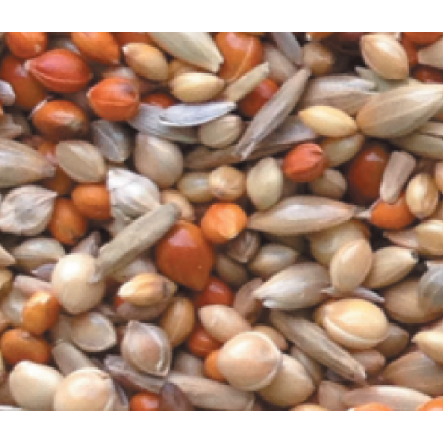 NATURline τροφή εκτροφής gouldians 1kg χύμα NATURline τροφή εκτροφής gouldians 1kg χύμα