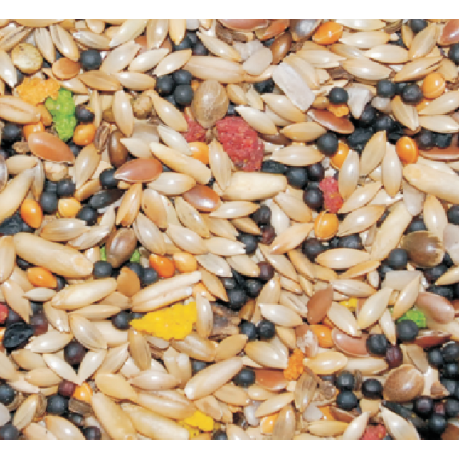 nature & science κελαϊδίνη canary daily 20kg nature & science κελαϊδίνη canary daily 20kg