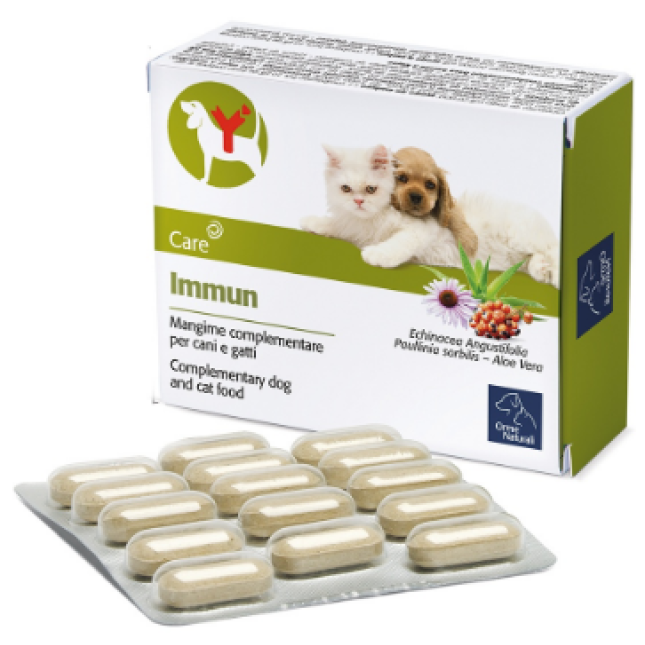 camon immun 1gr-60cpr camon immun 1gr-60cpr