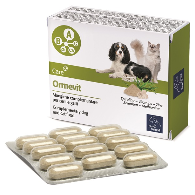 camon ormevit 1gr-60cpr camon ormevit 1gr-60cpr