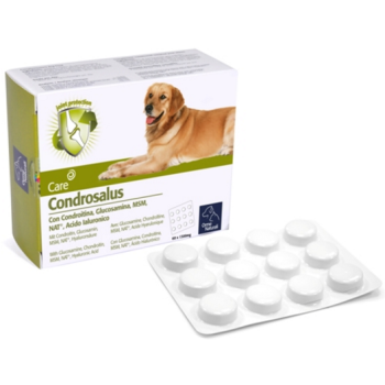 camon χάπι condrosalus tablets 60pcs