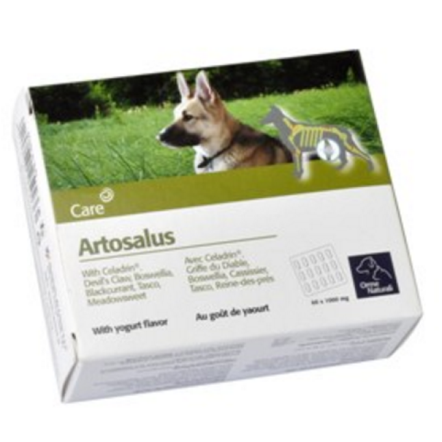 camon χάπι artosalus 30 tablets camon χάπι artosalus 30 tablets