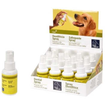 camon οδοντόκρεμα spray 50ml 12τεμ/box camon οδοντόκρεμα spray 50ml 12τεμ/box