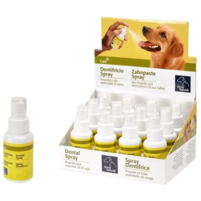 camon οδοντόκρεμα spray 50ml 12τεμ/box camon οδοντόκρεμα spray 50ml 12τεμ/box