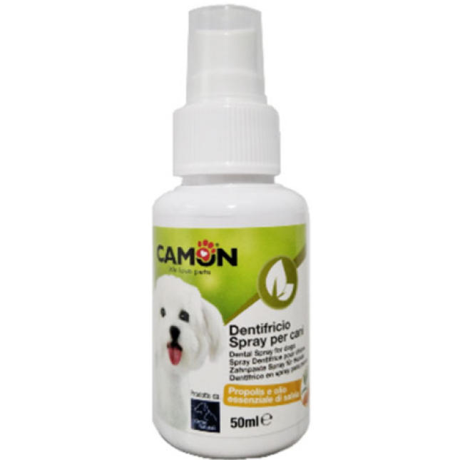 camon οδοντόκρεμα spray 50ml