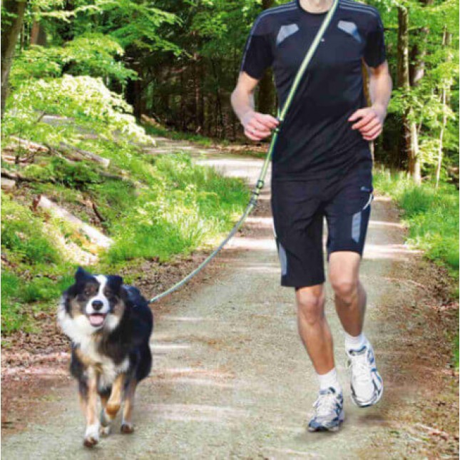 Trixie οδηγός jogging 1.33-1.80m/20mm γκρι/πράσινο Trixie οδηγός jogging 1.33-1.80m/20mm γκρι/πράσινο