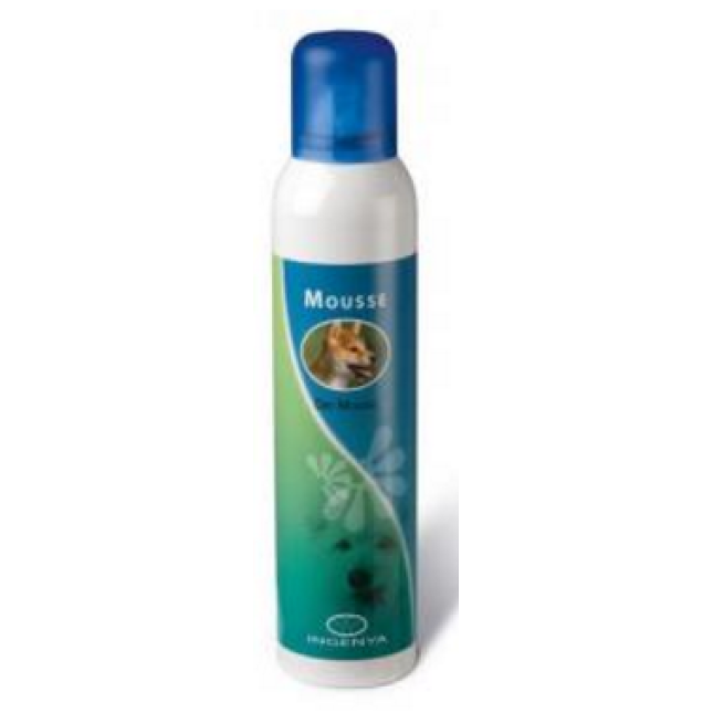 ingenya ξηρός αφρός 250ml ingenya ξηρός αφρός 250ml