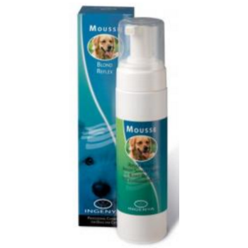 ingenya αντανακλαστικό μους για ξανθό τρίχωμα 200ml ingenya αντανακλαστικό μους για ξανθό τρίχωμα 200ml