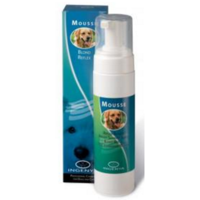 ingenya αντανακλαστικό μους για ξανθό τρίχωμα 200ml ingenya αντανακλαστικό μους για ξανθό τρίχωμα 200ml