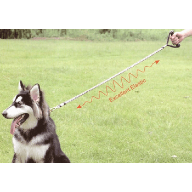 Dogness οδηγός anti-shock Dogness οδηγός anti-shock