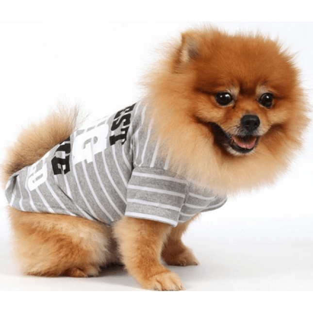 Doggy Dolly μπλούζα γκρι με στάμπα T283 x-large Doggy Dolly μπλούζα γκρι με στάμπα T283 x-large
