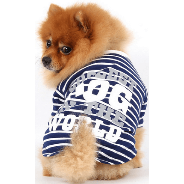 Doggy Dolly μπλούζα μπλε με στάμπα T280
