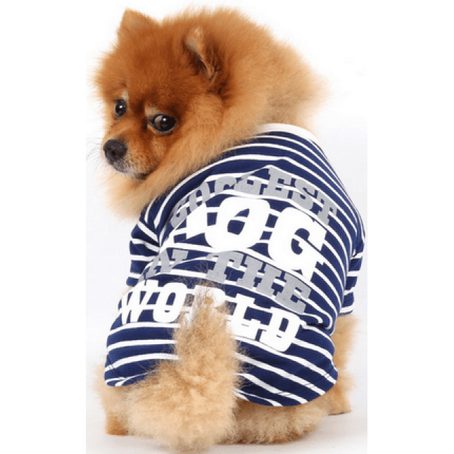 Doggy Dolly μπλούζα μπλε με στάμπα T280 Doggy Dolly μπλούζα μπλε με στάμπα T280