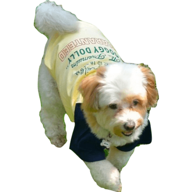 Doggy Dolly μπλούζα κίτρινη Doggy Dolly μπλούζα κίτρινη