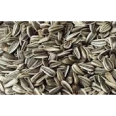 Vitapol ηλιόσπορος για παπαγάλους 300gr Vitapol ηλιόσπορος για παπαγάλους 300gr