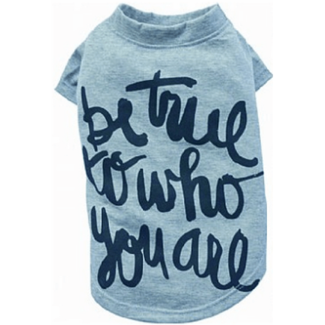 Doggy Dolly μπλουζάκι be true γκρι BD465 medium Doggy Dolly μπλουζάκι be true γκρι BD465 medium