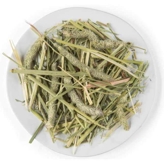 Witte molen σανός τρωκτικών puur timothy hay 500g Witte molen σανός τρωκτικών puur timothy hay 500g