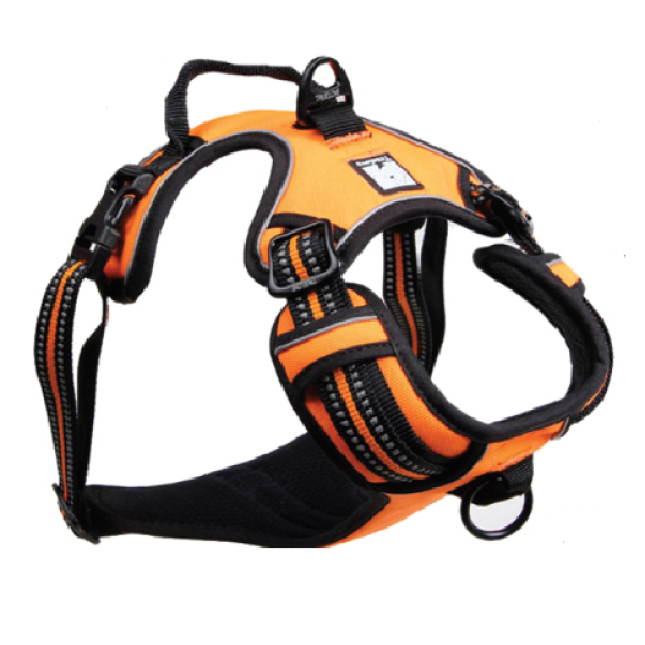 Tatrapet σαμαράκι με λαβή ρυθμιζόμενο reflective 56-59cm