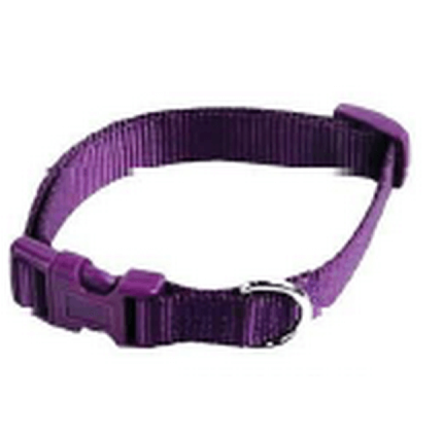 Papillon κολλάρο νάυλον μωβ, 10mm x20 - 30cm Papillon κολλάρο νάυλον μωβ, 10mm x20 - 30cm
