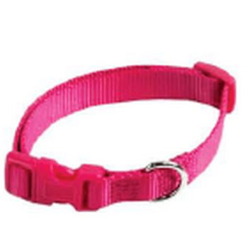 Papillon κολλάρο νάυλον ροζ, 10mm x20 - 30cm Papillon κολλάρο νάυλον ροζ, 10mm x20 - 30cm