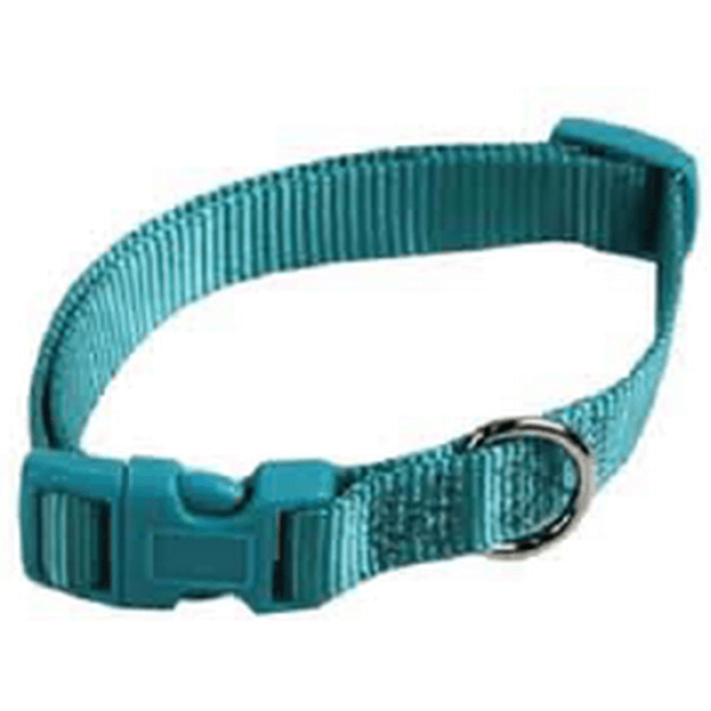 Papillon κολλάρο νάυλον τιρκουάζ, 15mm x33 - 40cm Papillon κολλάρο νάυλον τιρκουάζ, 15mm x33 - 40cm