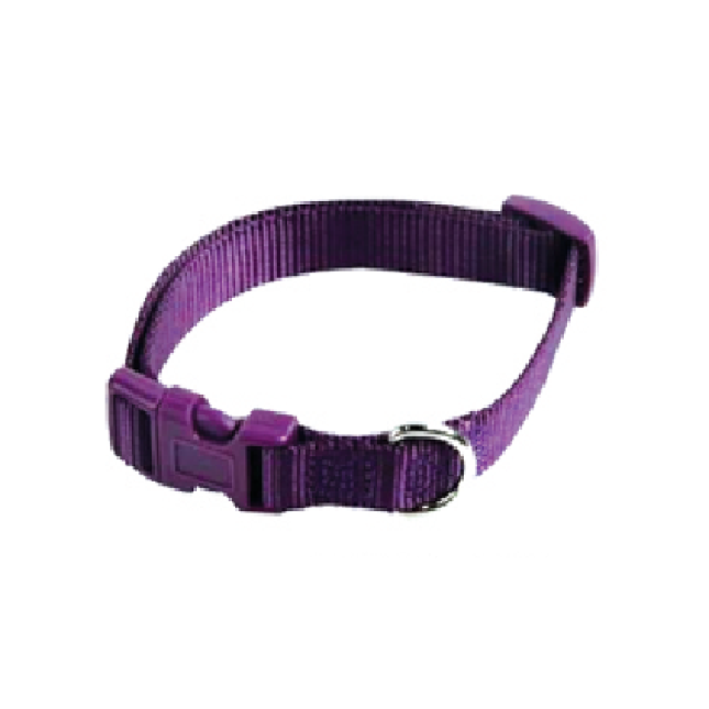 Papillon κολλάρο νάυλον μωβ, 25mm x48 - 70cm Papillon κολλάρο νάυλον μωβ, 25mm x48 - 70cm